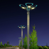 High Quality IP66 Waterproof Aluminum Alloy DC/AC Project Magnolia Flower Street LED Lights Landscape Lighting