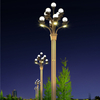 New Design Smart Pole Street Light Pole Integrated HD Camera LED Display Magnolia Flower Design for Smart City