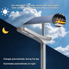 Solar-powered Outdoor LED Street Lights 100W Modern Solar Street Lights for Urban Road Lighting OEM Support Available