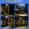 Factory-Direct Solar LED Garden Lights IP65 Protection Rating Suitable for Villa and Courtyard Garden Lighting