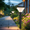 Solar Garden LED Lawn Light for Landscape