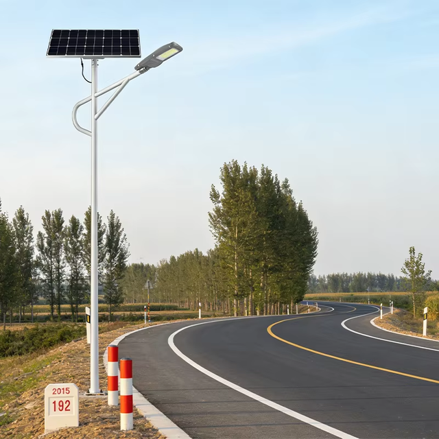 Remote Intelligent Control IP66 Galvanized Steel Solar Street Light for Main Transportation Routes