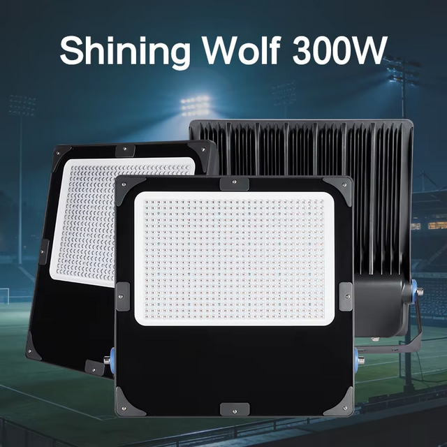 High Power LED Stadium Flood Light 300W Die-Cast Aluminum Waterproof for Professional Sports Venues Customization Supported