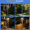 20W 30W 40W 50W 60W 80W 100W LED Garden Lights High-pressure Die-cast Aluminum LED Street Lights for Garden Ambient Lighting