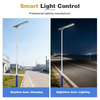 Custom All-in-one Solar LED Street Lights with IP66 protection for Residential Areas Courtyards and Roads