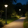 Versatile IP65 LED Garden Light Solar Powered with Battery for Highlighting Trees Sculptures & Architectural Details