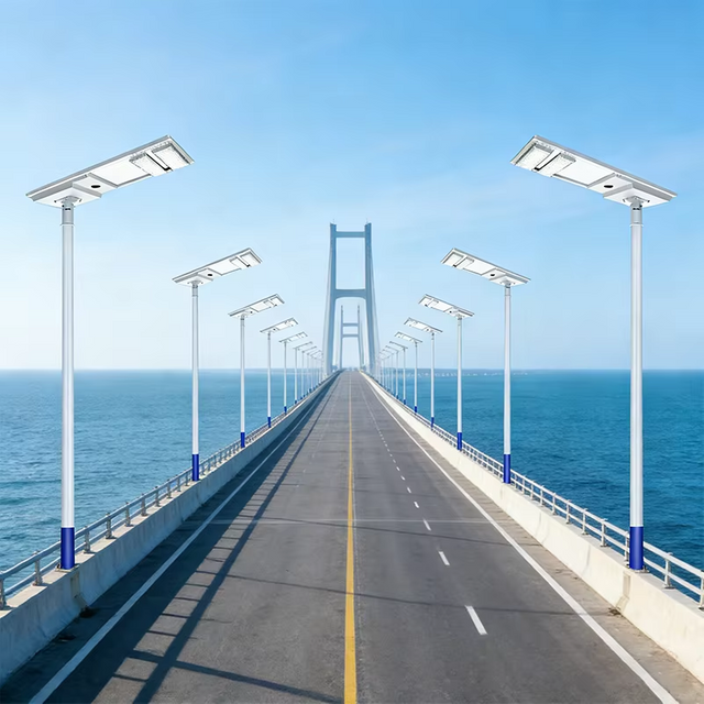 Solar Street Light High-Efficiency Monocrystalline Panel for Rapid Charging in Sunny & Partial Shade Areas
