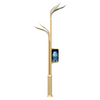 Customized Aluminum Outdoor 6M 8M IP66 Waterproof AC Smart Street Light with HD Camera CCTV WIFI Charge Equipment