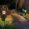  LED Solar Landscape Light
