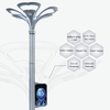 High Quality IP66 Waterproof Aluminum Alloy DC/AC Project Magnolia Flower Street LED Lights Landscape Lighting