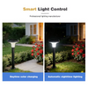 Modern Design IP65 Waterproof DC Solar Spotlight 8000mAh Warm White LED for Backyard Fence Landscape Lighting