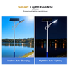 Bright Solar Street Light 80W 100W 120W High Power Solar Lighting System for Main Road Highway Township Street Project