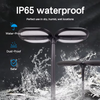 High-Brightness LED Garden Light IP65 Waterproof Night-to-Dawn Lighting Suitable for Pathways Parks and Villas