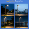 Factory Custom AC LED Street Lights with Aluminum Alloy Housings IP65 Rated 2-Year Warranty for Garden Road Use
