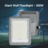 Modern Custom LED Sports Field Flood light High-Brightness IP66 Waterproof Dustproof 300W Energy-Saving Outdoor Floodlight